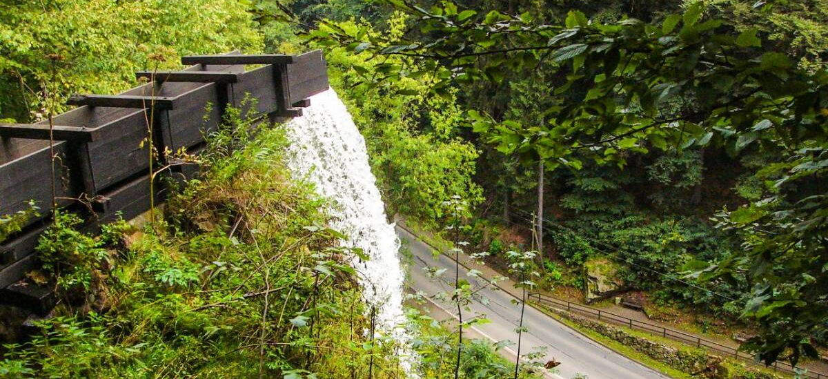 Blick von der Spitze des Trusetaler Wasserfalls