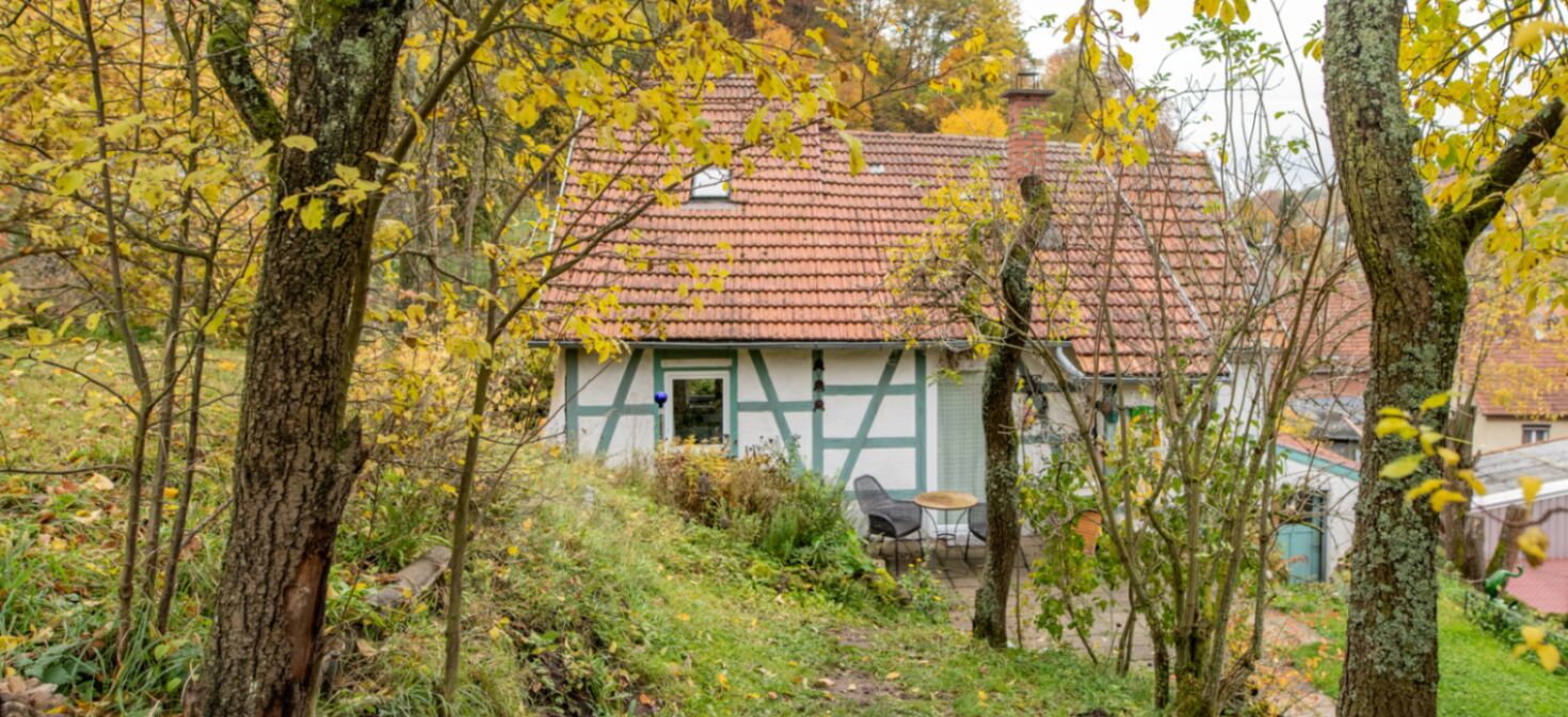 Außenaufnahme Ferienhaus im Grünen mit wäldlicher Umgebung