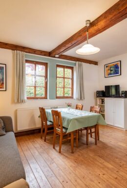 Innenaufnahme Zimmer mit Sofa, TV, Esstisch und Kaminofen