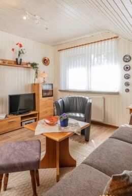 Innenaufnahme Zimmer mit Sofa, Sessel, TV, Radio und Tisch